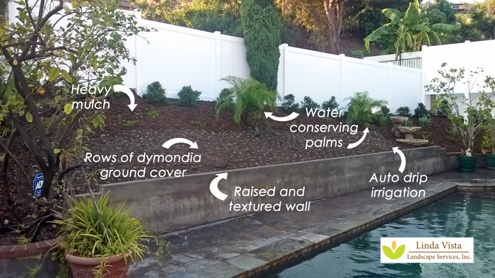 drough tolerant poolside landscape by Linda Vista Landscape Services