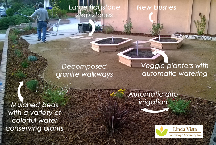veggie garden with water conserving plants by Linda Vista Landscape