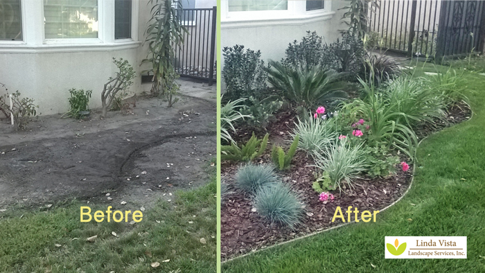 Colorful Burbank Front Yard Curb Appeal Linda Vista Landscape Services Inc